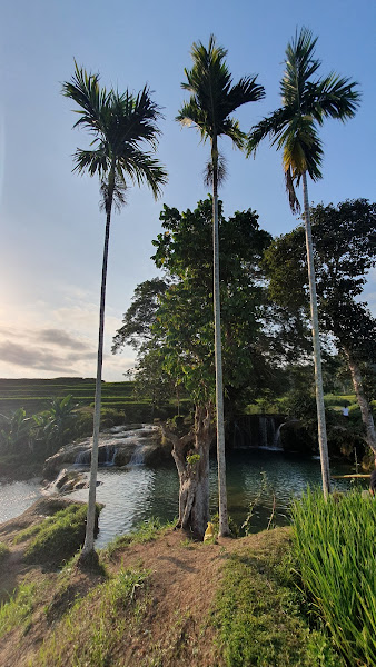 Bendungan Waikelo Sawah