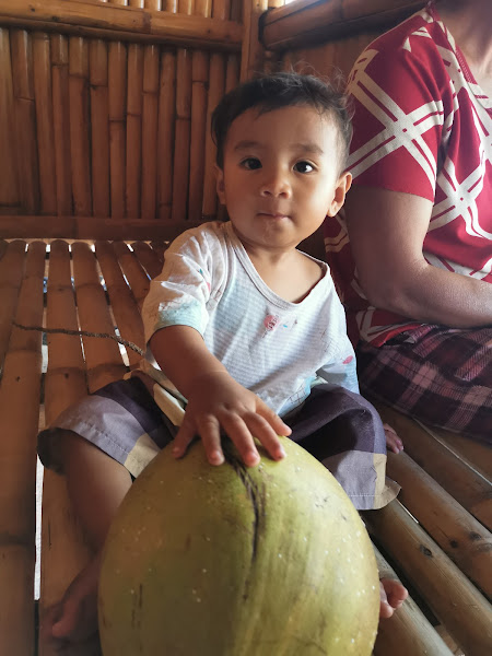 Musa Homestay