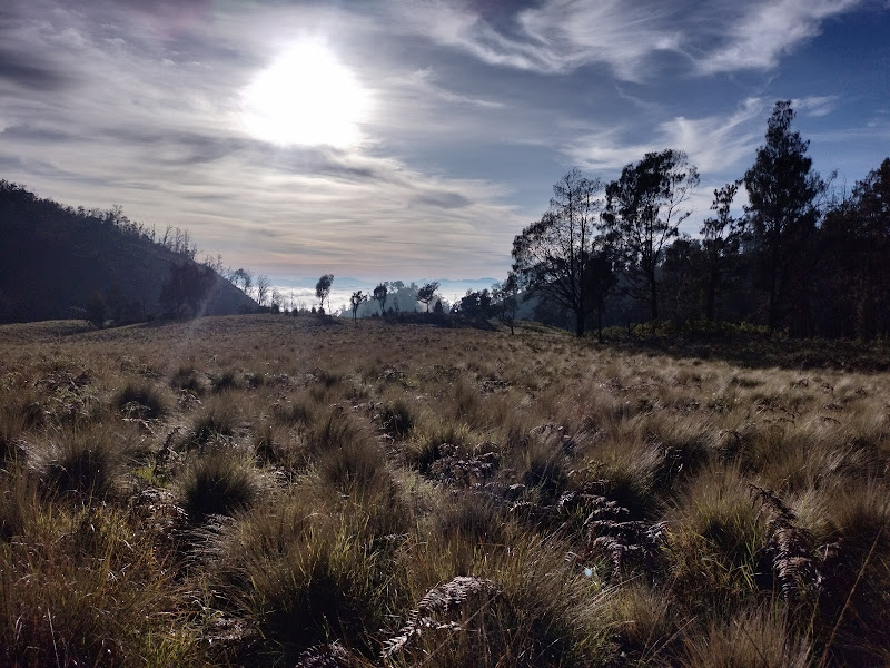 Buthak Savana Kawi Mountain