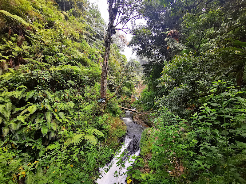 Curug Golosor