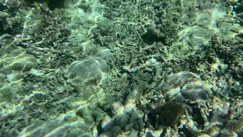 Pulau Vroolijk