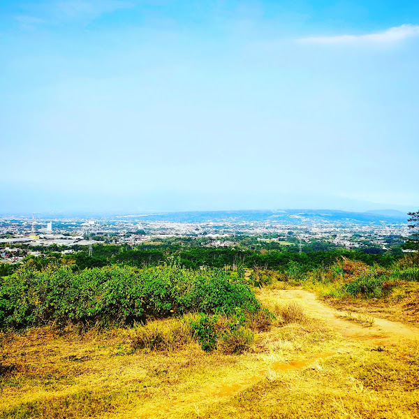 Puncak Jati