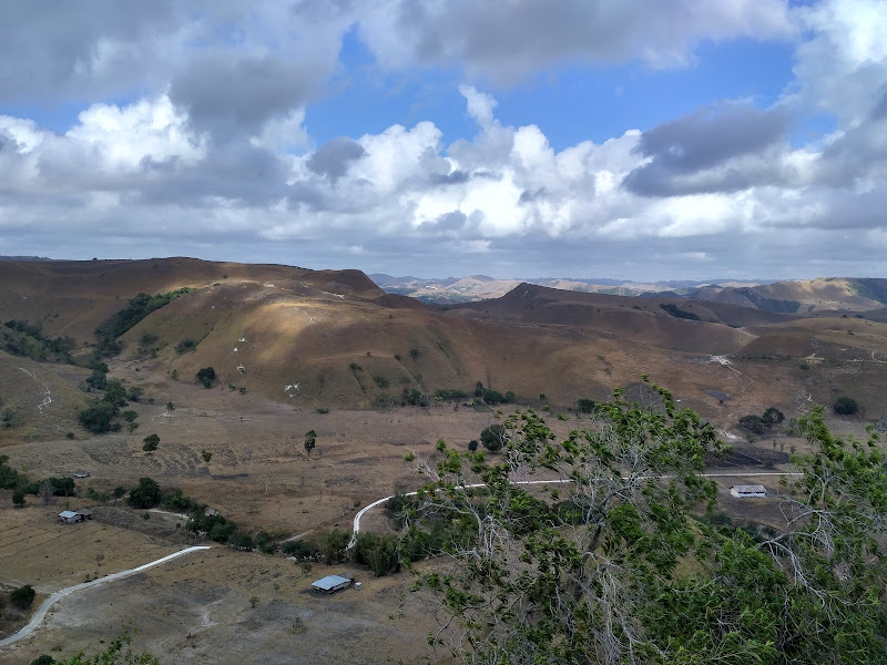 Savana Puru Kambera