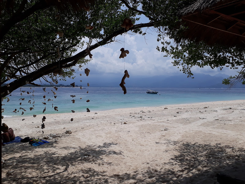 Gili Meno Turtle Sanctuary