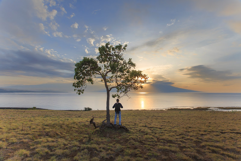 Padang Savana Mausui