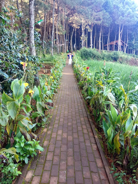 Bukit Moko
