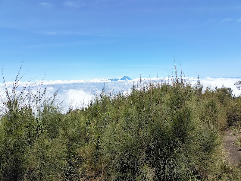 Buthak Savana Kawi Mountain