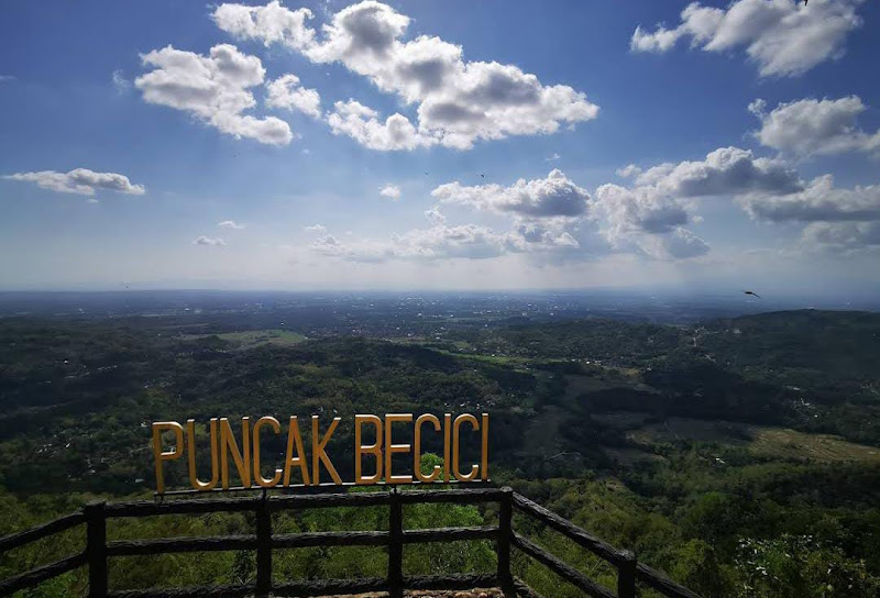 Puncak Pinus Becici Yogyakarta