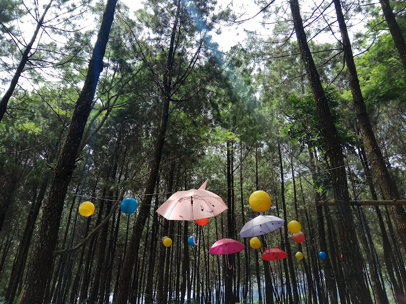Perhutani Precet Lereng Gunung Kawi