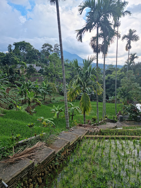 Alam Santosa Ekowisata & Budaya