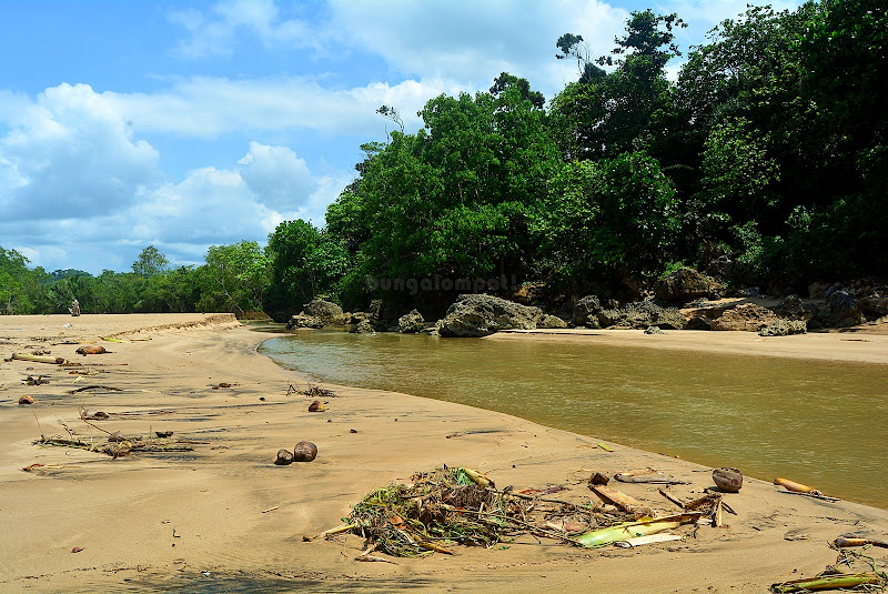 Toko taman ayu nganteb (TAN)