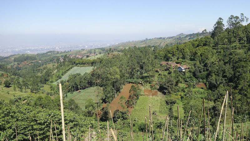 Oray Tapa Bandung Heritage View Park