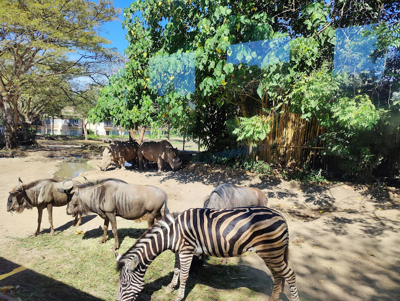 Taman Safari Bali