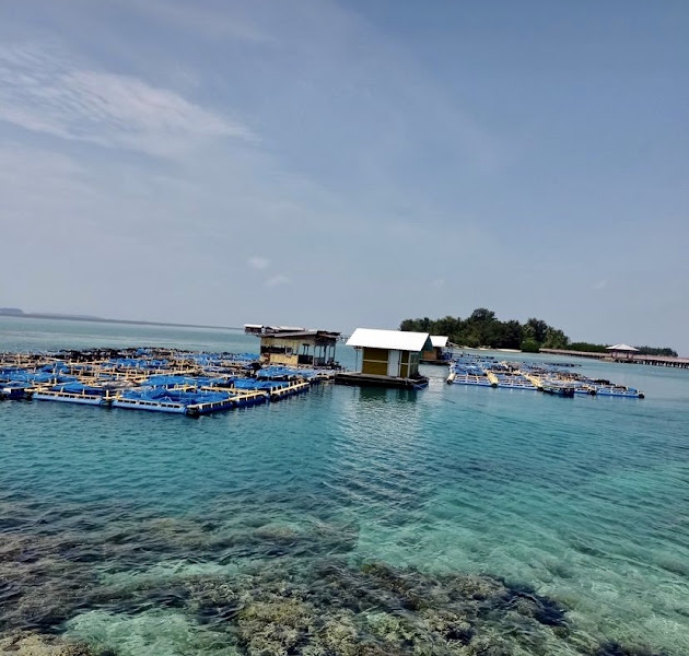 Jembatan Cinta