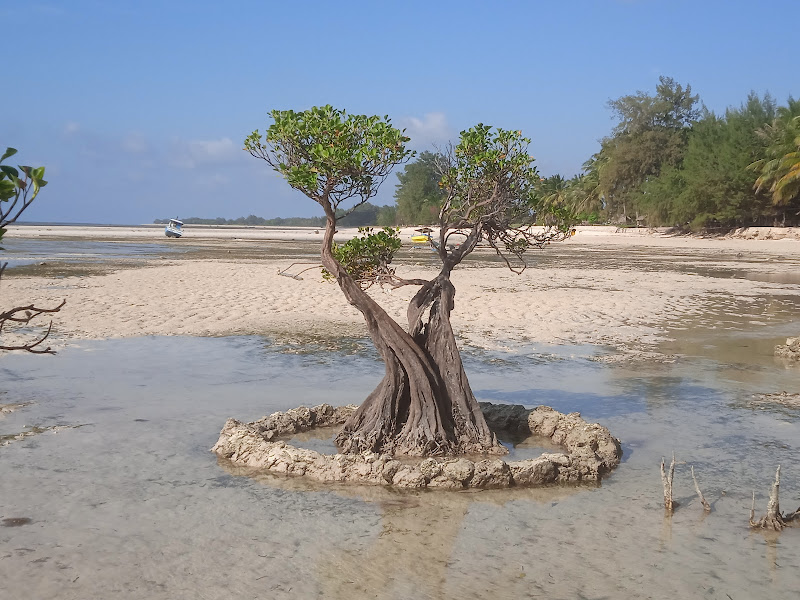 Walakiri Beach