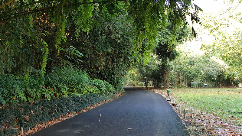 Bamboo Garden