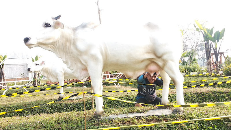 Jogja Agro Park (JAP)