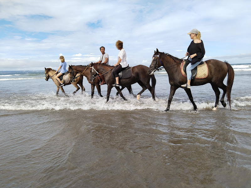 Mesari Stables in bali at seminyak beach