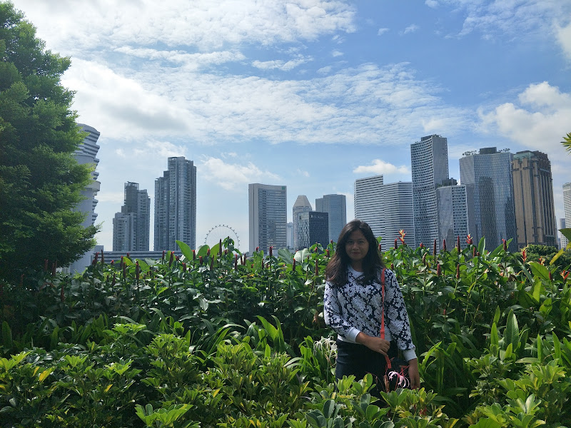 Hotel Freas
