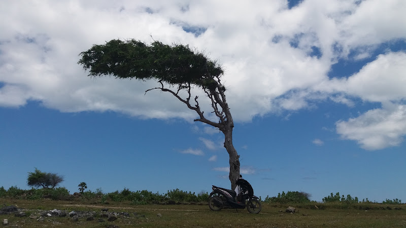 Pantai Liman