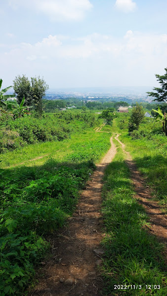Puncak Jati