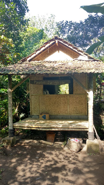 Kebon IRUP