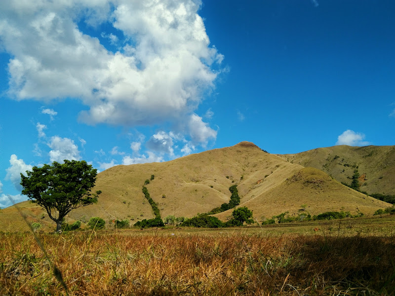 Gunung Kerbau