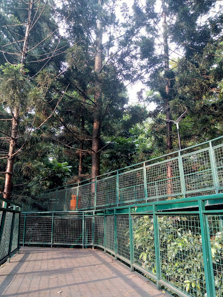 Jalur Hutan Kota Babakan Siliwangi Bandung