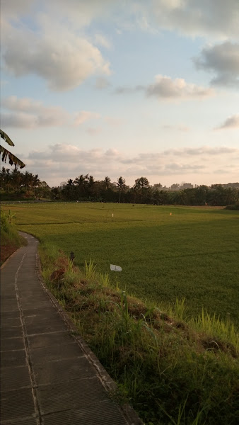 Jogging Track Penarungan