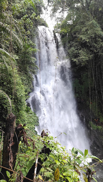 Air Terjun Cemara