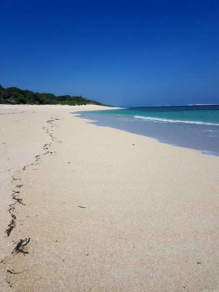 Nomad Tropical Resort