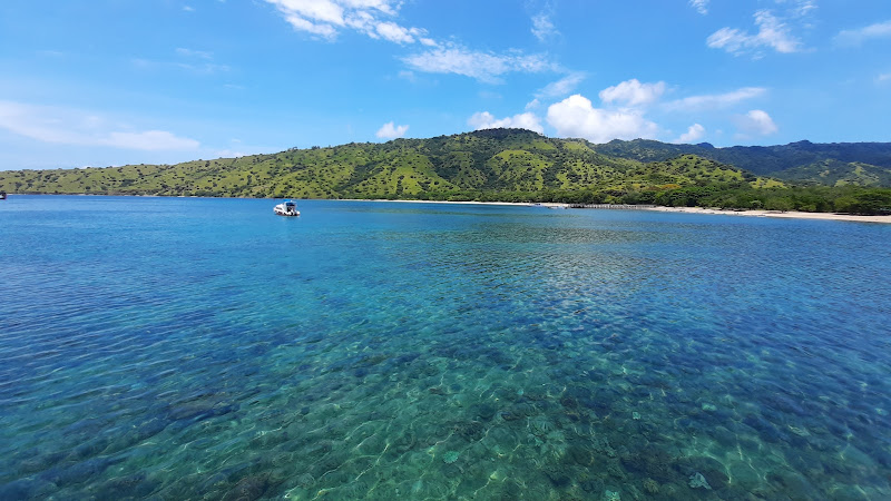Loh Liang - Komodo National Park