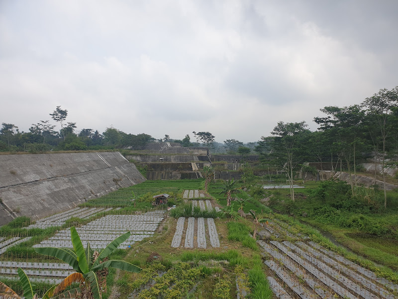 Cangkringan