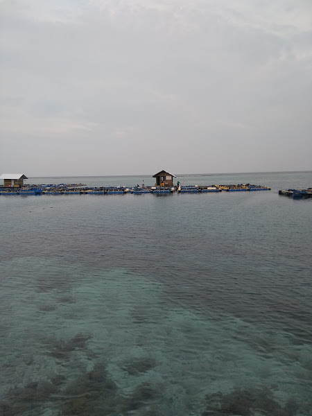 Pantai Utara Pulau Tidung