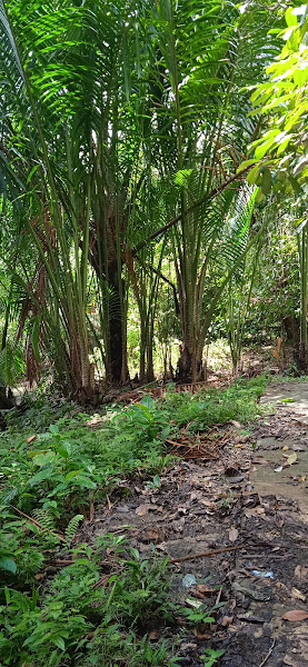 Bataanga, Kec. P.Gorom,Kab.SBT