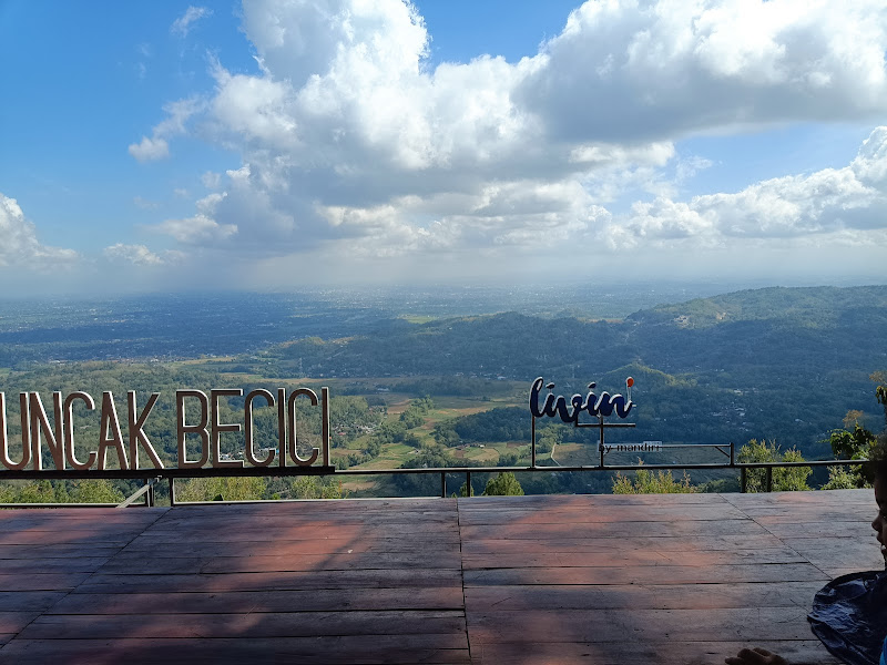 Puncak Pinus Becici Yogyakarta