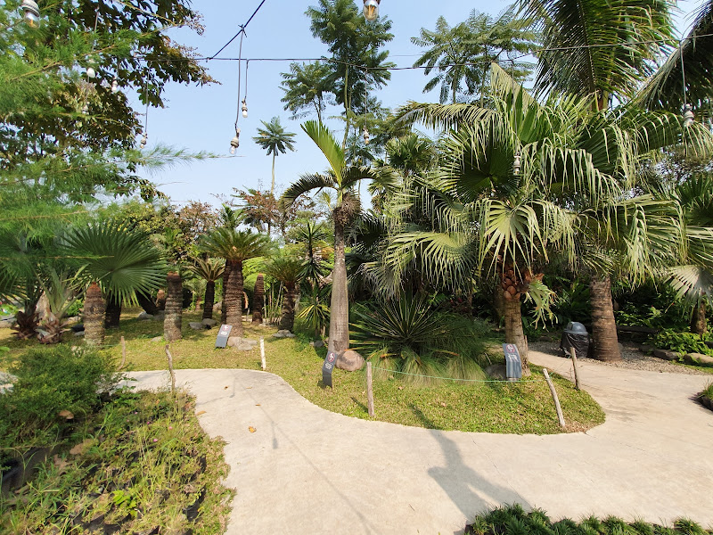 Peta Park