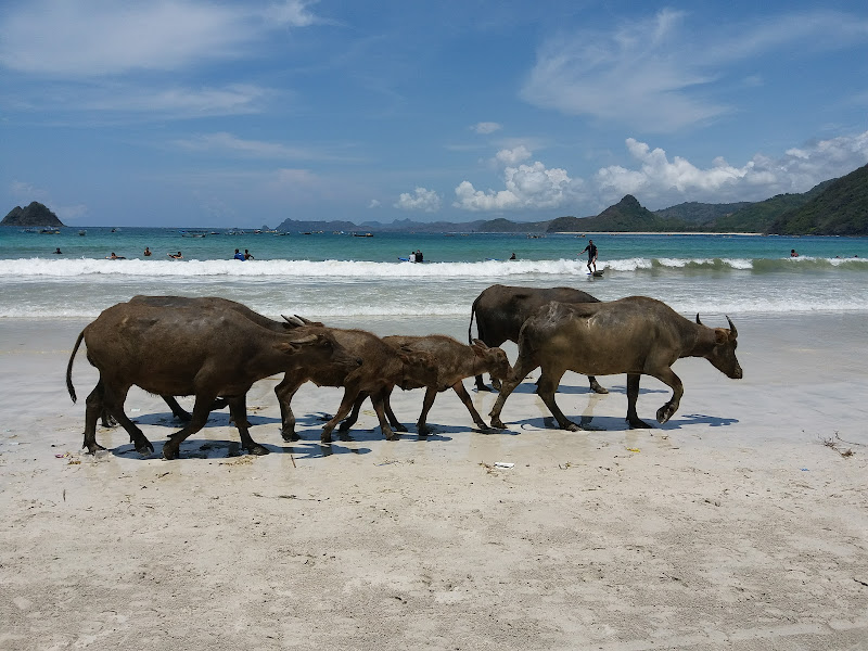 Pantai Selong Belanak