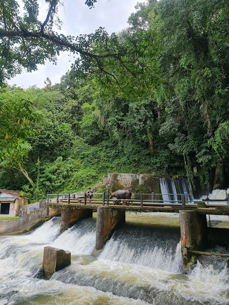 Bendungan Waikelo Sawah