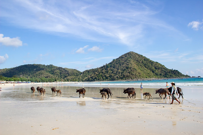 Pantai Selong Belanak