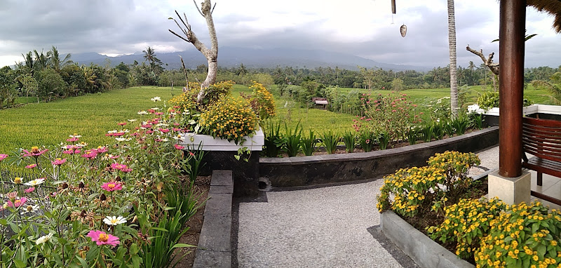 Tepi Sawah Hotel