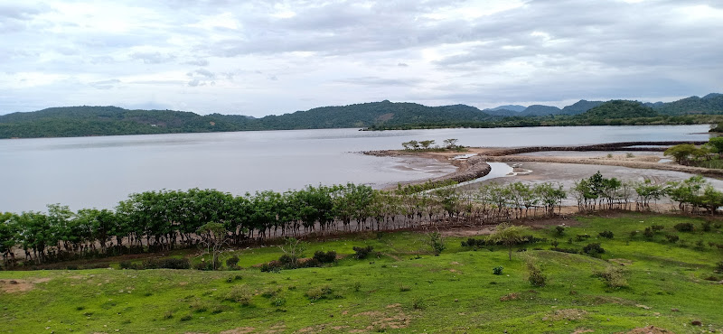 Pantai Arang