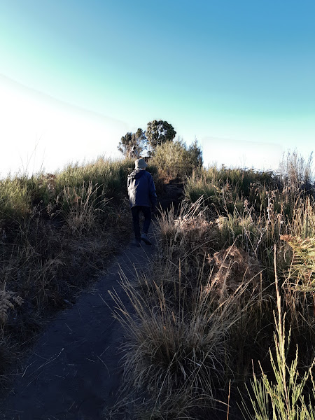 Buthak Savana Kawi Mountain