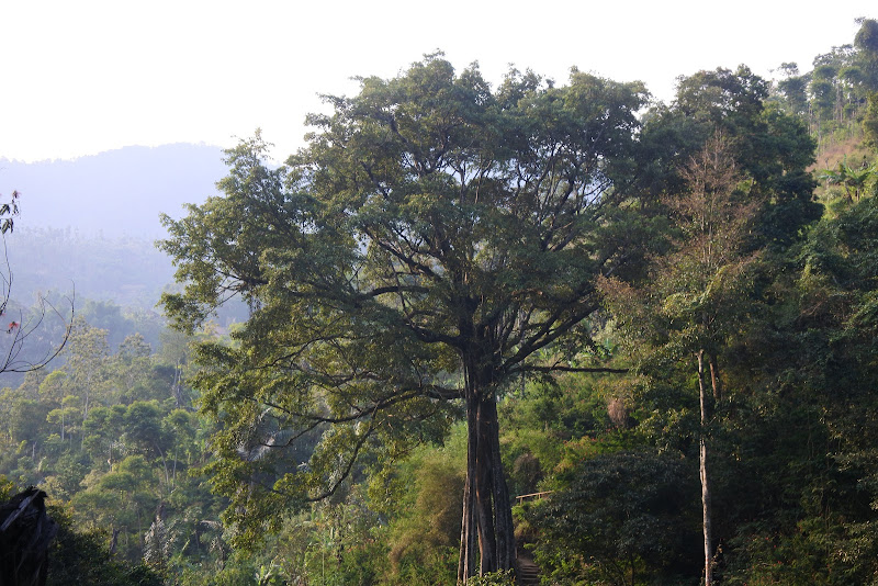 Curug Cinulang