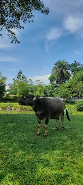 Kampoeng Wisata Cinangneng