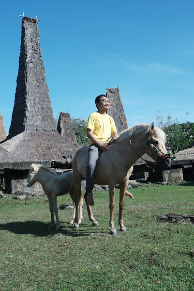 Bukit Lendongara