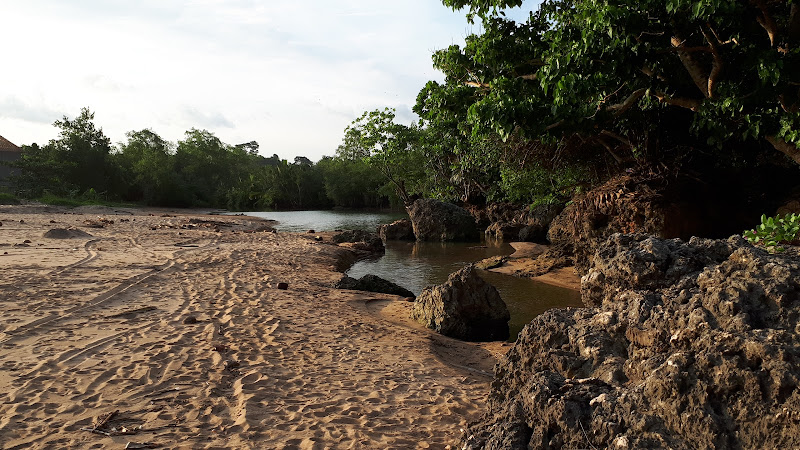 Toko taman ayu nganteb (TAN)