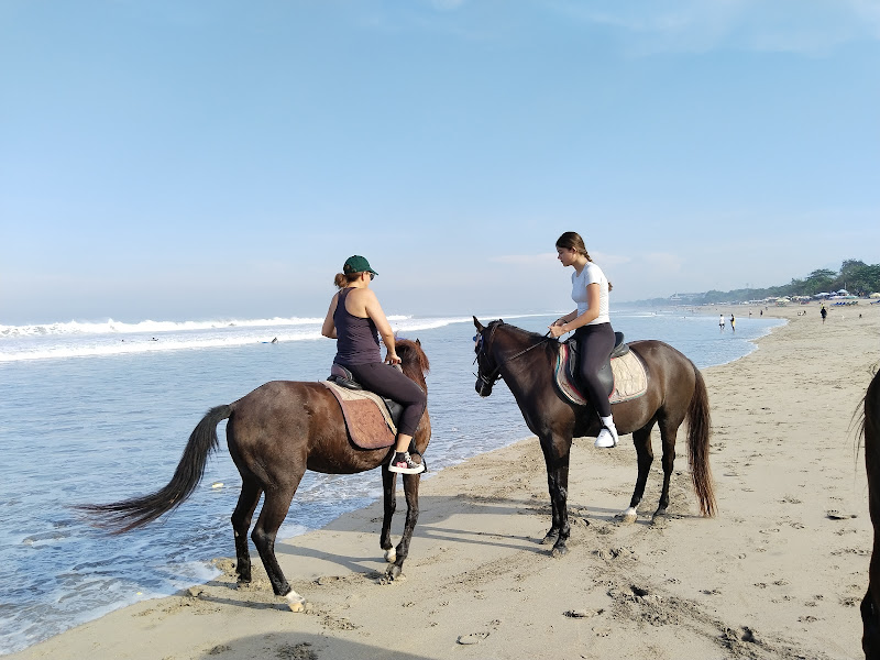 Mesari Stables in bali at seminyak beach