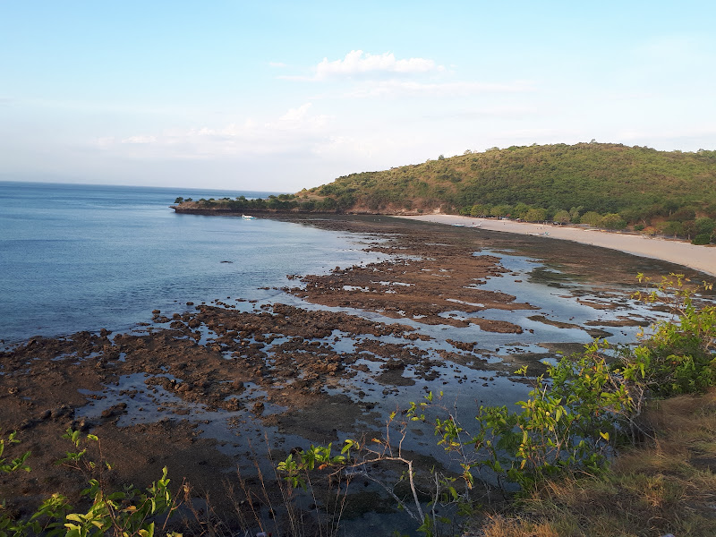 Pink Beach Lombok