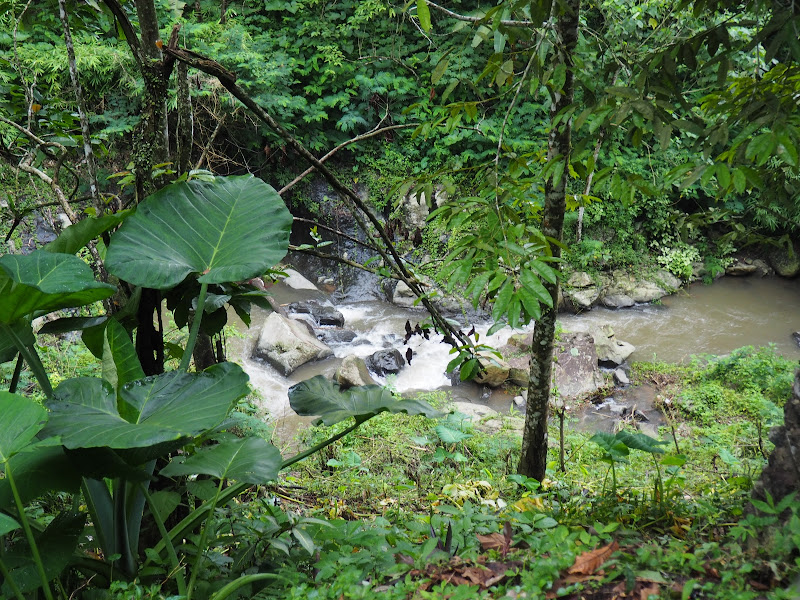 Colek Pamor Waterfall